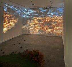 A snapshot of the Voices of Coal projection